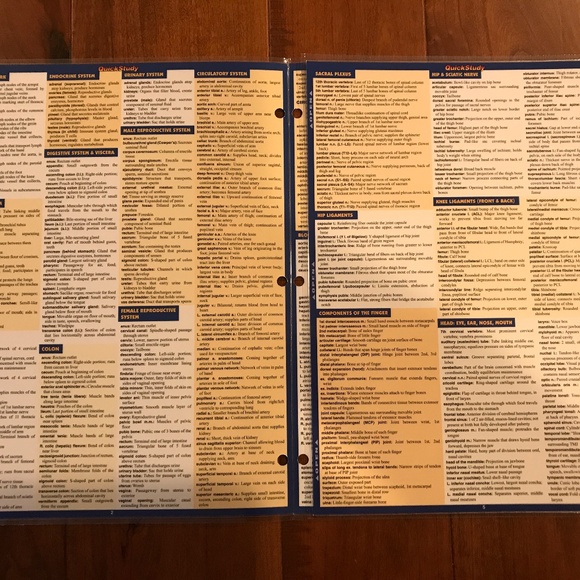 ANATOMY AND ANATOMY TERMINOLOGY QUICKSTUDY LAMINATED REFERENCE GUIDE - Picture 7 of 9